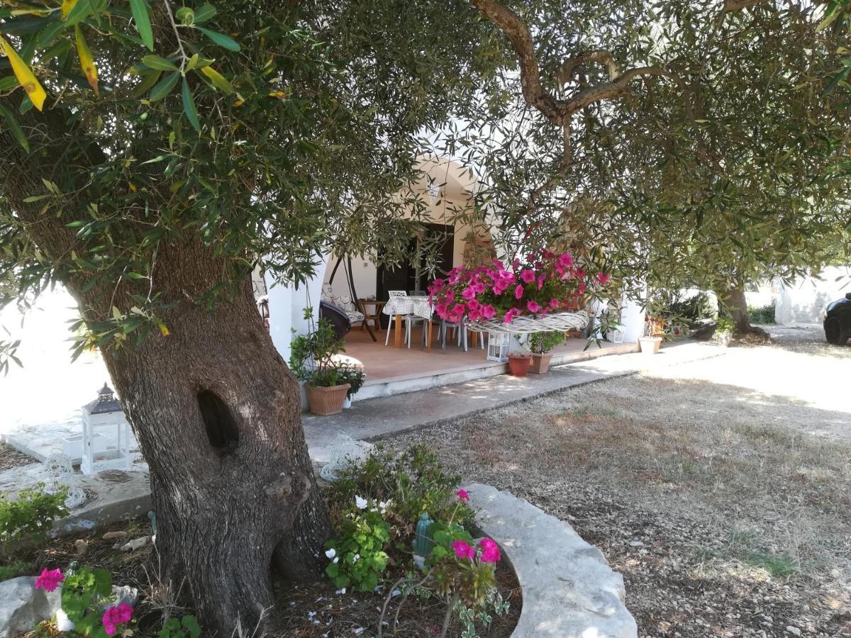 Trullo Alessandro E Villa Raffaela San Vito dei Normanni Exterior foto