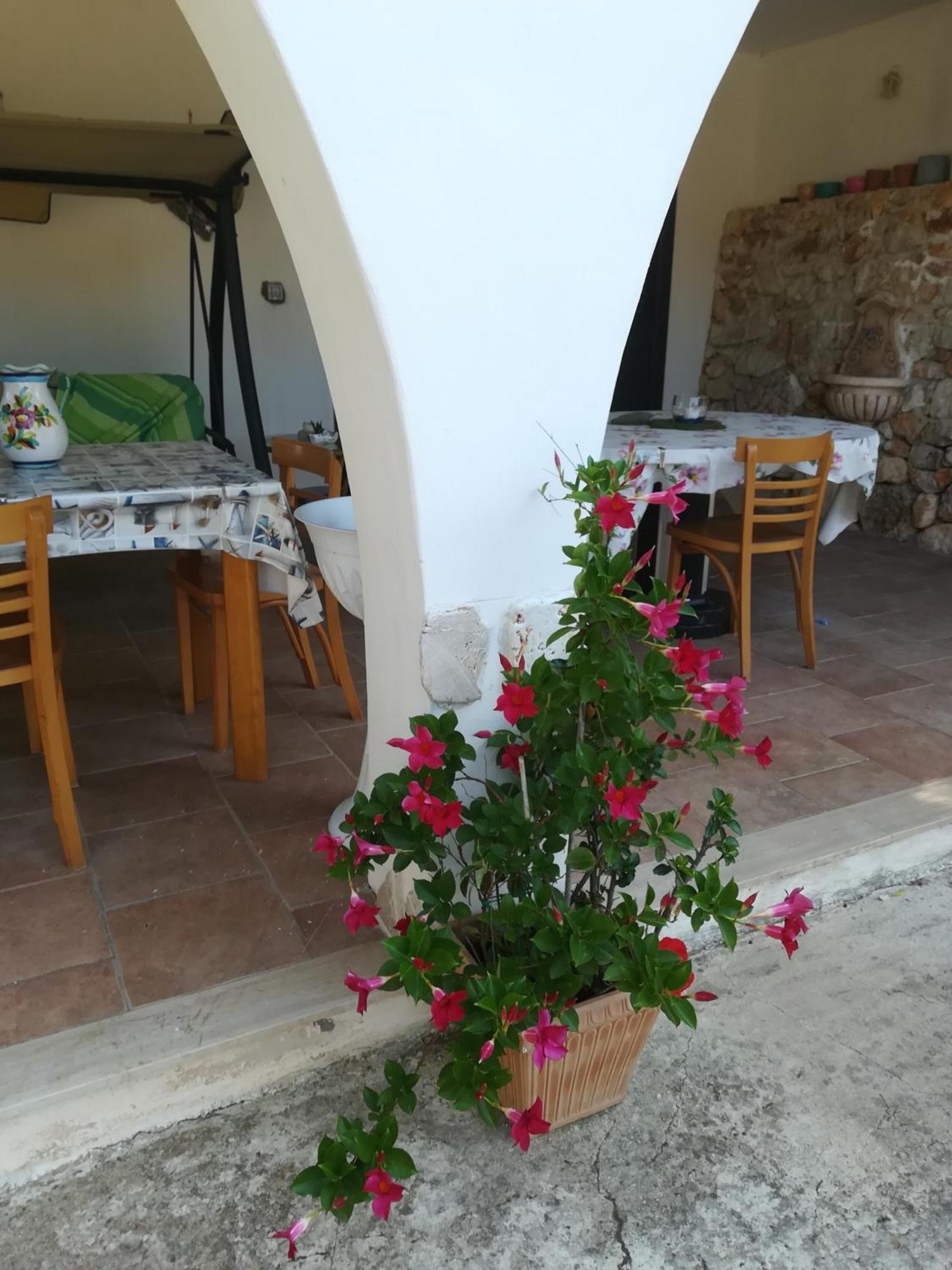 Trullo Alessandro E Villa Raffaela San Vito dei Normanni Quarto foto